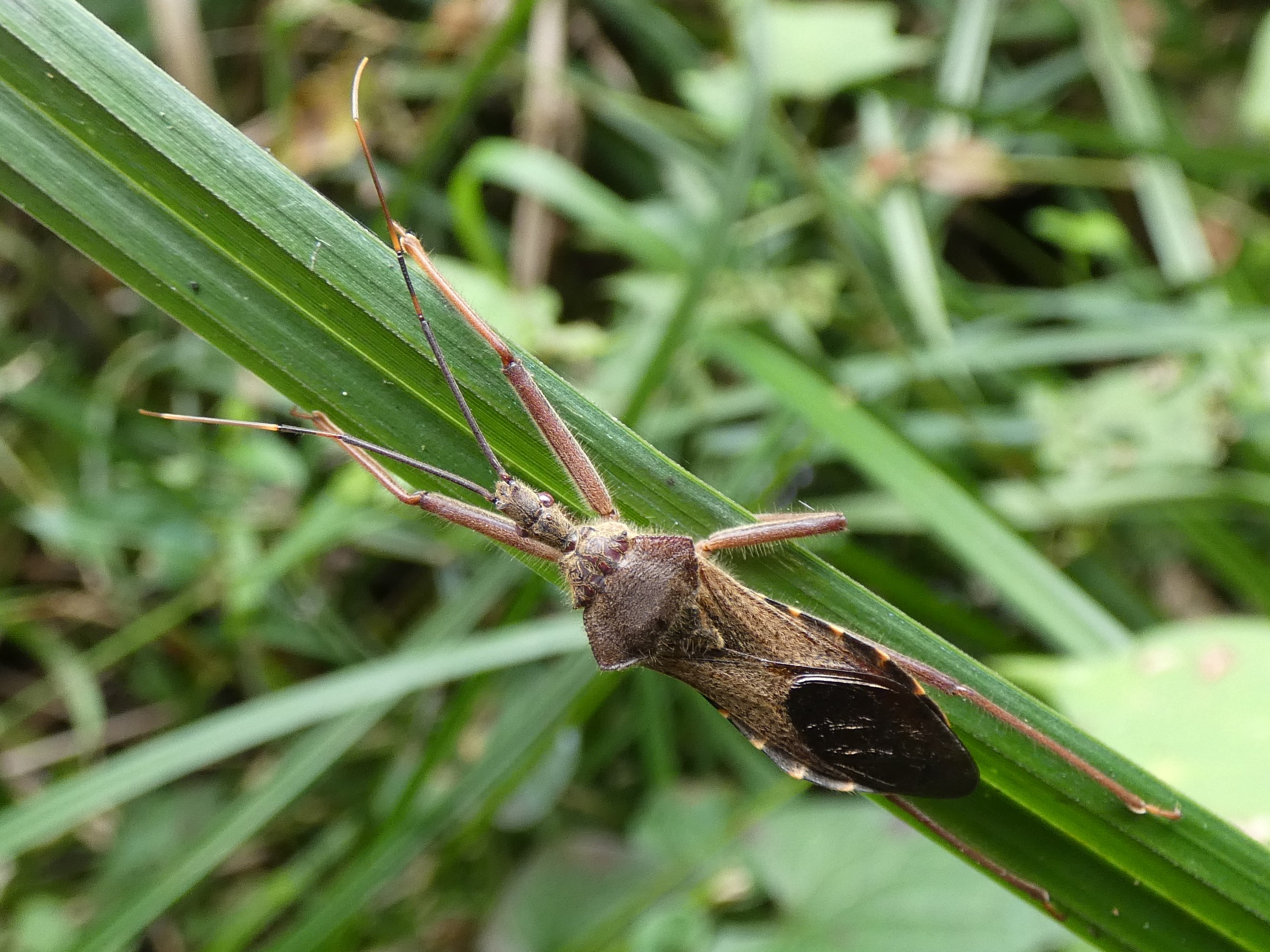 photo_1